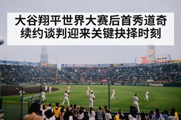 baseball fans celebrating